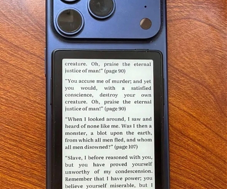 This Viral ‘Purse Kindle’ Is Tiny, Adorable, and a Lot of Work