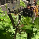 Robot Passes Turing Test for Polyculture Gardening