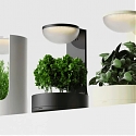 Planta Lets You “Converse” with Your Plants Virtually