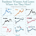 Pandemic Winners and Losers : Where Are They Now ?