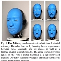 (Paper) EVA Robot Identifies and Copies People's Facial Expressions
