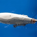 Robotic Fish Zips Through Water With Flexible Electromagnetic Fin