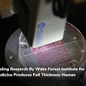 Breakthrough Human-like Bioprinted Skin Heals Wounds Better, Faster