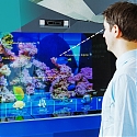 (CES 2023) The AI Aquarium is Claimed to be 98% Accurate at Identifying Fish Species