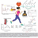 (Paper) Emerging Technology Uses Tiny Fibers That can Track Your Blood Pressure