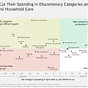 (PDF) BCG - The Surprising Resilience of Emerging-Market Consumers