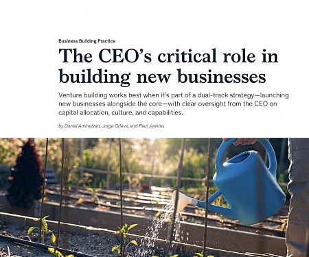 (PDF) Mckinsey - The CEO’s Critical Role In Building New Businesses