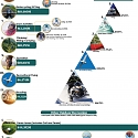 (Infographic) Which Outdoor Activities Do People Spend The Most On?