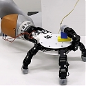 (Paper) EPFL - Revolutionary Reversible Robo-Hand Can Crawl Away From Its Arm
