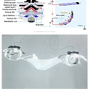 (Paper) Max Planck Institute - Jellyfish-like Robots Could One Day Clean Up The World’s Oceans