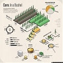 (Infographic) The Uses of Corn : Industries Affected by High Corn Prices