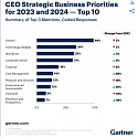 The 2023 Gartner CEO and Senior Business Executive Survey