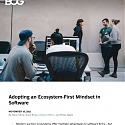 (PDF) BCG - 5 Strategies for A Successful Software Partner Program