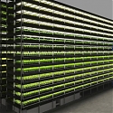Denmark’s Wind-Powered Vertical Farm Will Produce 1K Tons of Greens a Year