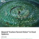 (PDF) BCG - Beyond “Carbon Tunnel Vision” in Food Systems